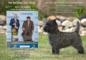 Pinglan National show Philadelpia