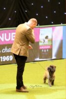 Crufts Magnus 1