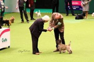 Crufts Magnus 5