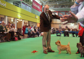 Humlan Crufts 2015