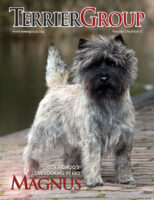 Magnus Cover Terrier