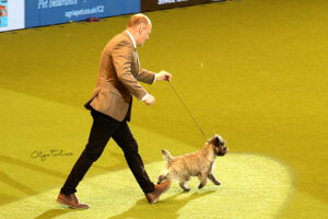 Magnus Crufts 10