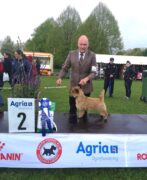 Alan Best terrier-2 Roskilde Denmark-22