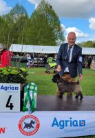 Dexter Best Terrier-4 IDS Roskilde Denmark-22