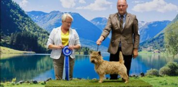 Alan Best Terrier #3 Sandefjord-22