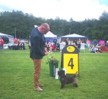 Dexter Best Terrier # 4 Nordic show Borås-22