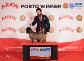 Hjosephine Porto Winner 2XBOB Portugal