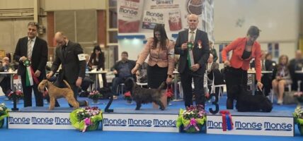 Lewis reserv Best Terrier Italy