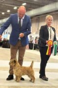 Alan European Winner-23 BOB, judge breed specialist Satu Järvinen