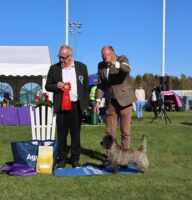 Daimon Best Terrier Skara 2023