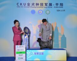 Spade Best In Show In China 2023